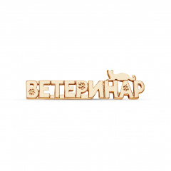 Брошь "Ветеринар №3"