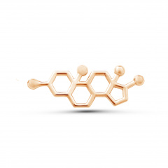 Брошь "Тестостерон"